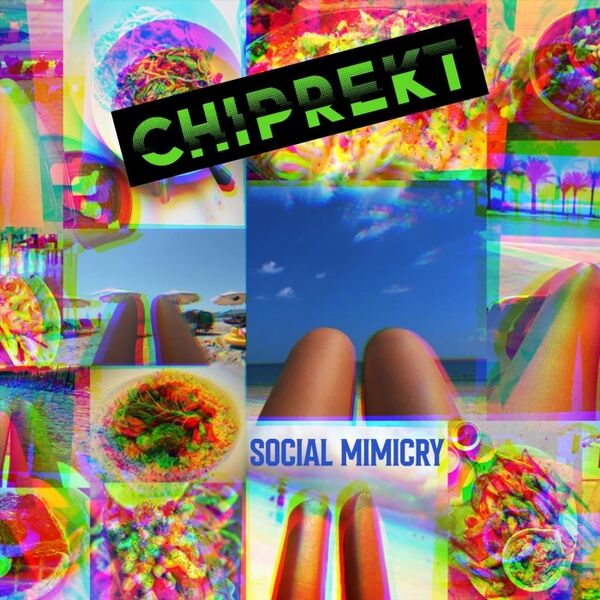 Cover art for Social Mimicry